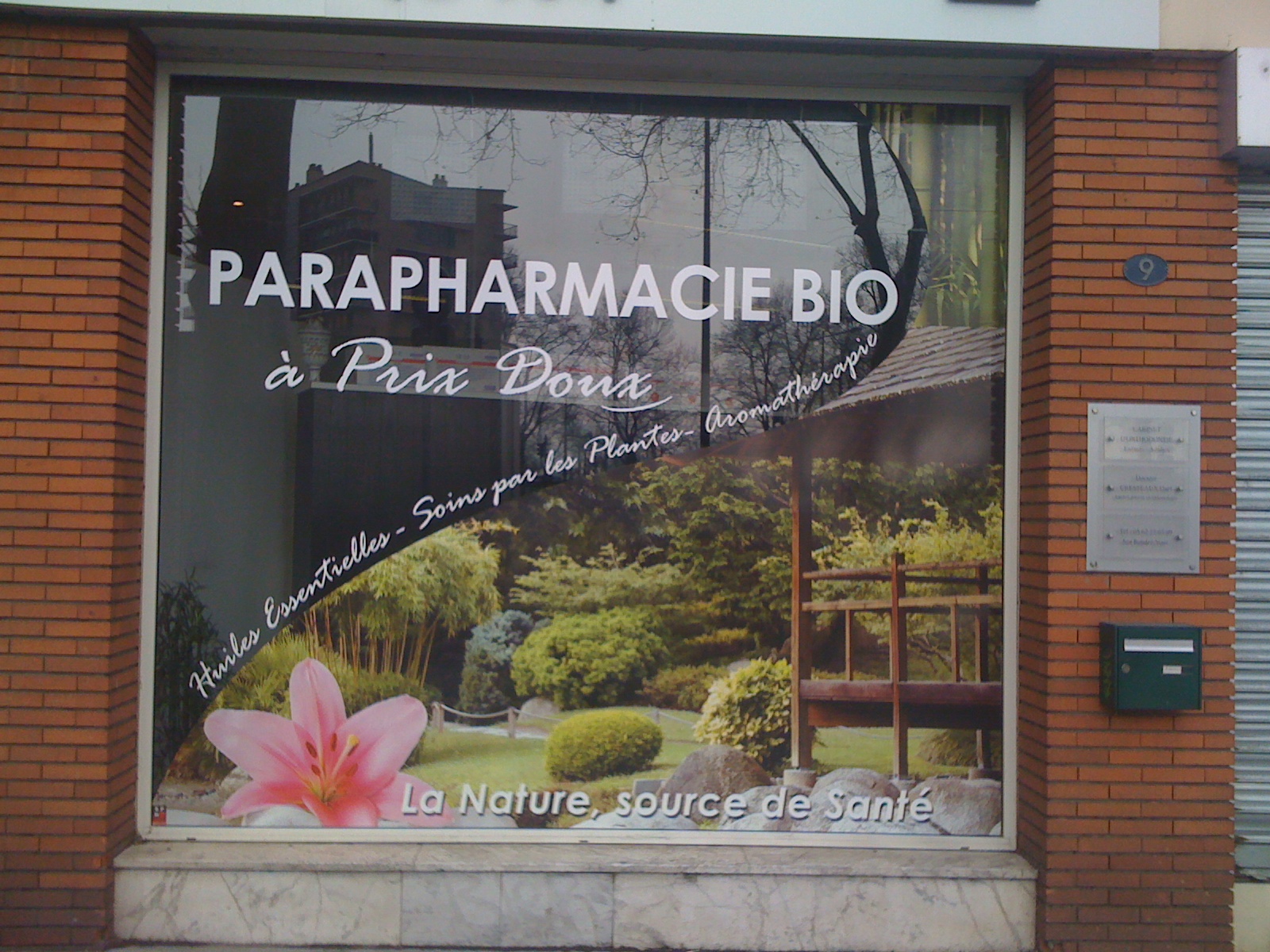 Photo 038